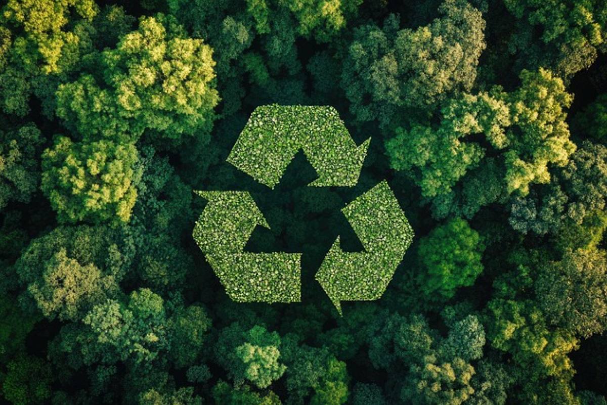 imagen referida al articulo Renting Informático, el motor de la economía circular en las startups colombianas